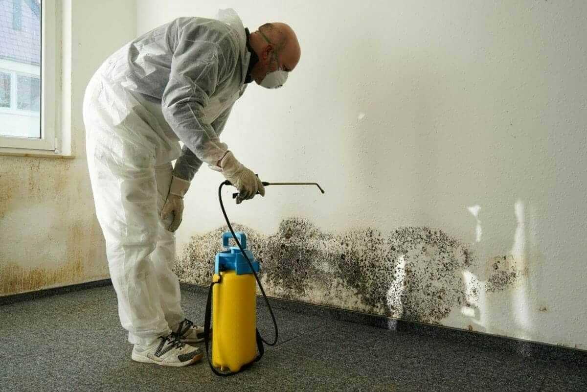 bring_in_the_k_d_cleaning_professionals